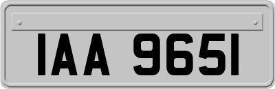 IAA9651