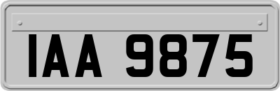 IAA9875
