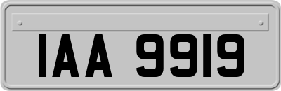 IAA9919