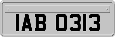 IAB0313