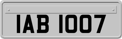 IAB1007