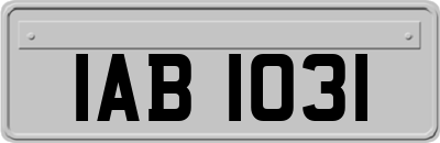 IAB1031