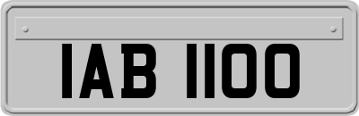 IAB1100