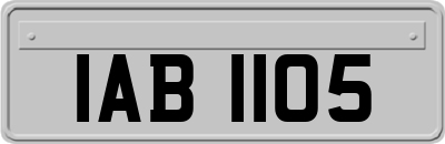 IAB1105