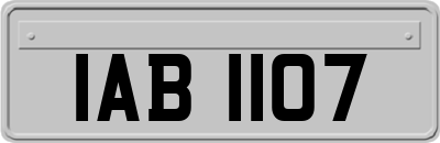 IAB1107