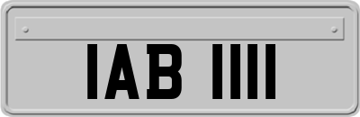 IAB1111