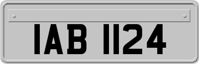 IAB1124