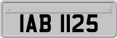 IAB1125