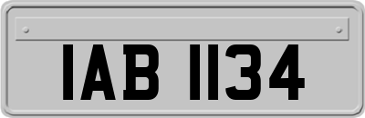 IAB1134
