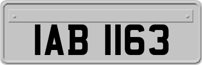 IAB1163