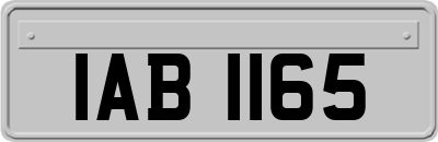 IAB1165