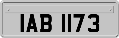 IAB1173