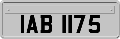 IAB1175