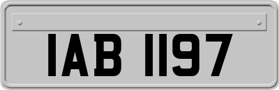 IAB1197