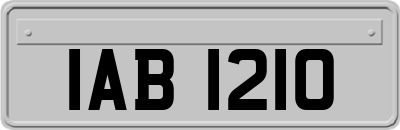 IAB1210