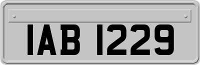 IAB1229