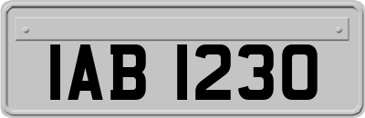 IAB1230