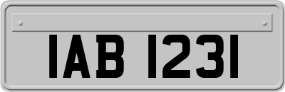 IAB1231