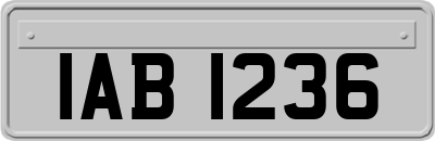 IAB1236