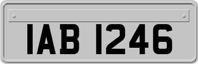 IAB1246
