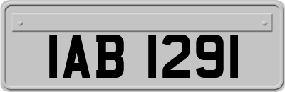 IAB1291