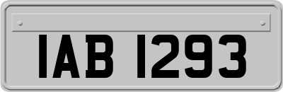 IAB1293