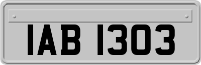 IAB1303