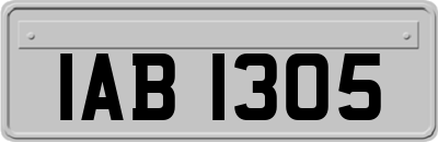 IAB1305