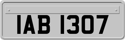 IAB1307