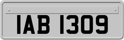 IAB1309