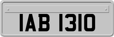 IAB1310
