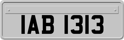 IAB1313