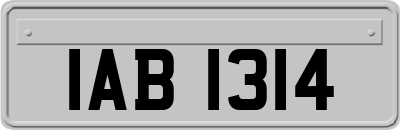 IAB1314