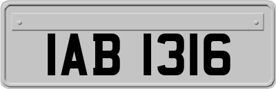 IAB1316