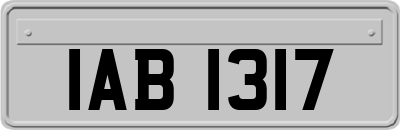 IAB1317