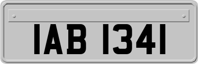 IAB1341