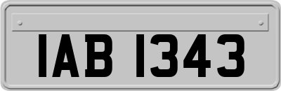IAB1343