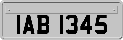 IAB1345