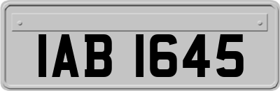 IAB1645