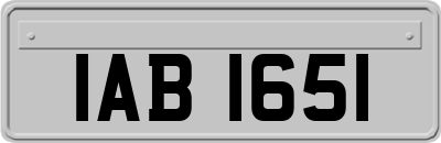 IAB1651