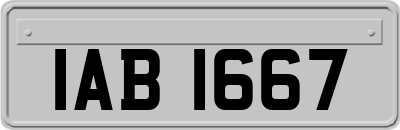 IAB1667