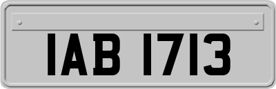 IAB1713