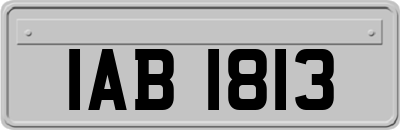 IAB1813