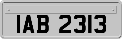 IAB2313