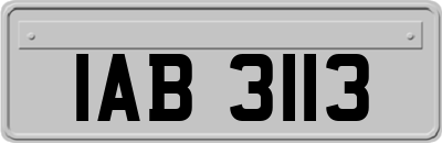 IAB3113