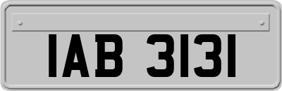 IAB3131