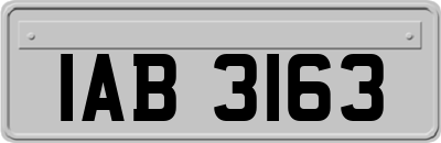 IAB3163