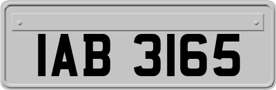 IAB3165