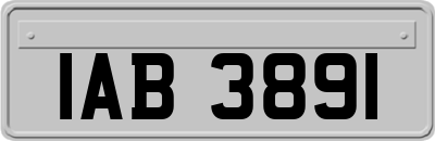 IAB3891