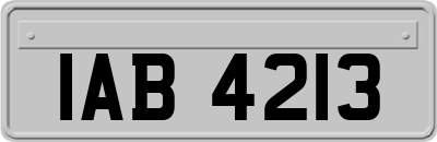 IAB4213